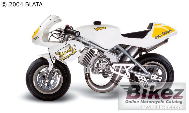 Big Blata elite 13 junior picture and wallpaper from Bikez.com